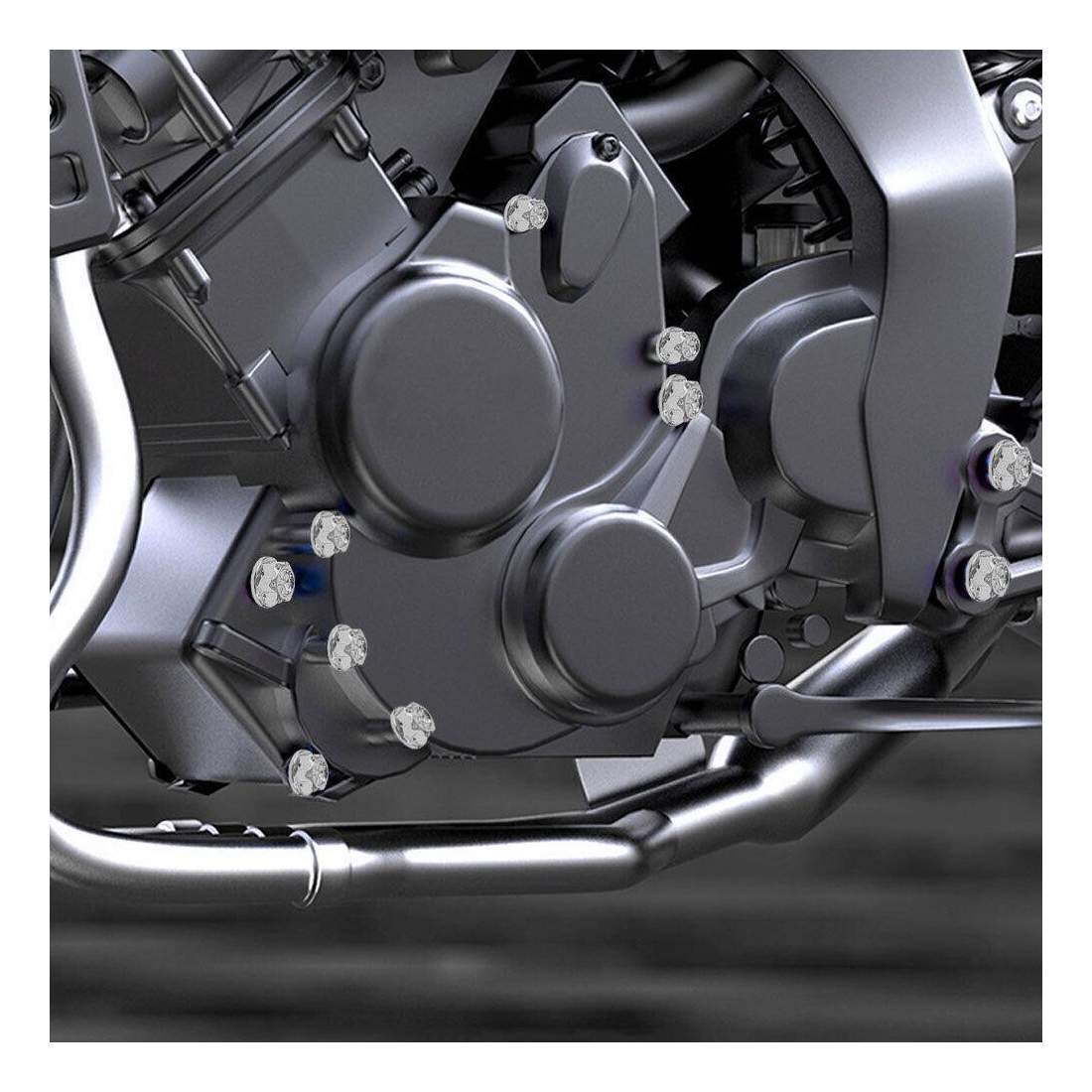 Skruebeskyttelse til Motorcykel - 30 stk - Sølv