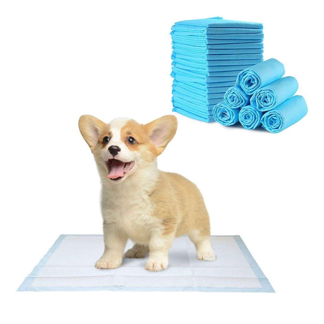 Kisskydd/Skvättskydd/Valpmatta - 10-pack | Hem & Hobby - Husdjur - Hund - Matningsanordning | Pryloteket