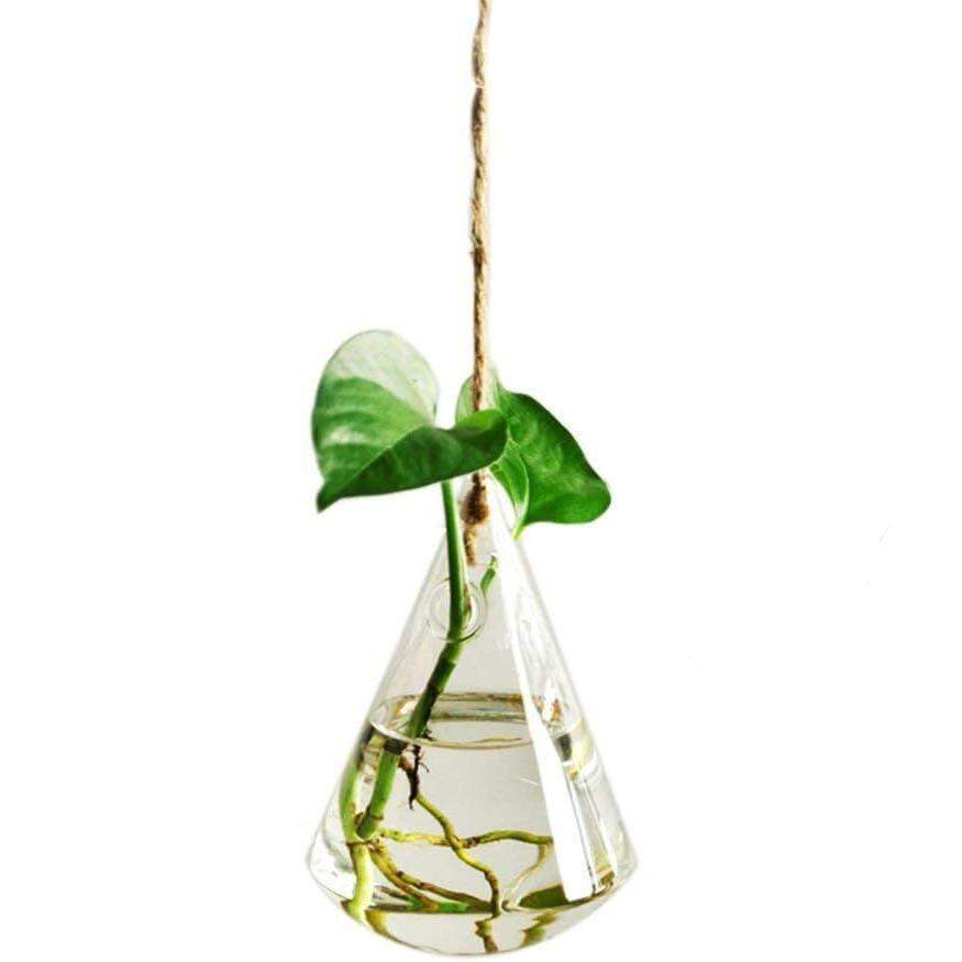 Hængende glasvase til stiklinger