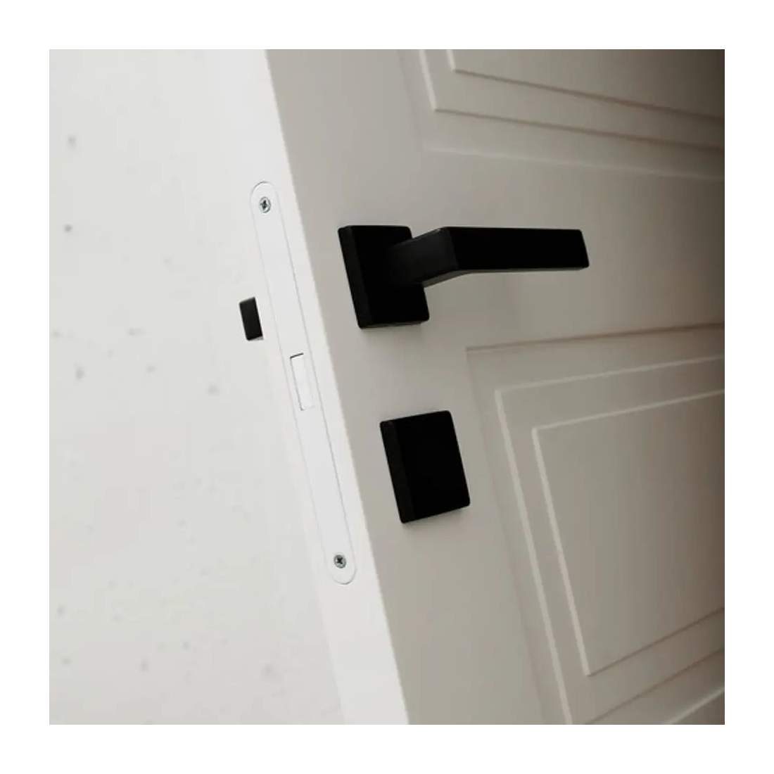 Door handle complete set matte black eStore