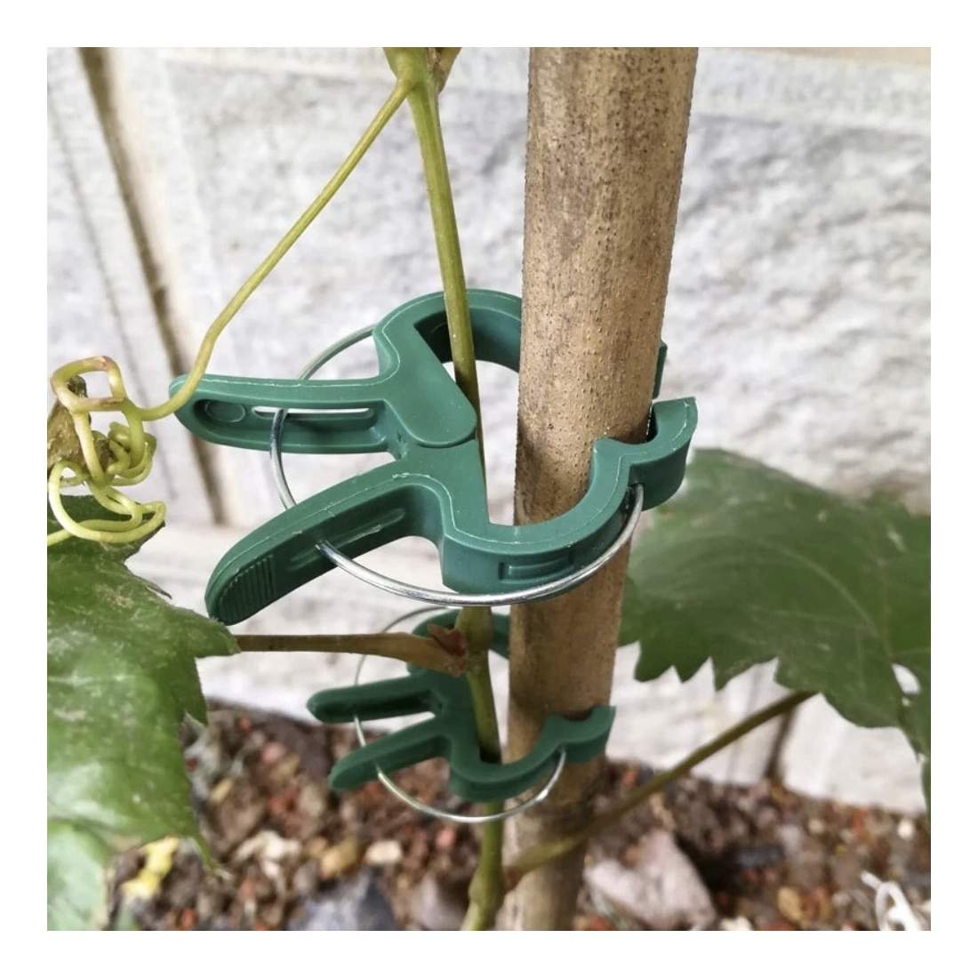 Växtklämmor - 108 st Växtstöd | Hem & Hobby - Hem & Hushåll - Inredning & Dekoration - Övriga Inredningsdetaljer | Pryloteket