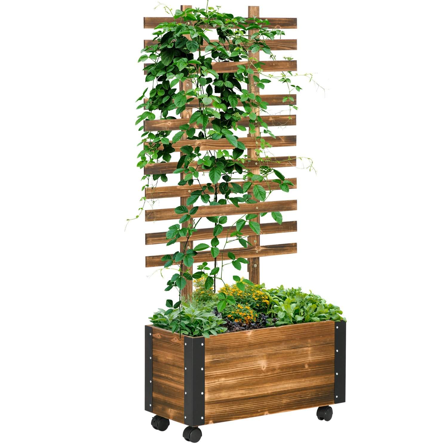 Karboniseret plantekasse med espalier og hjul 65x31x147 cm