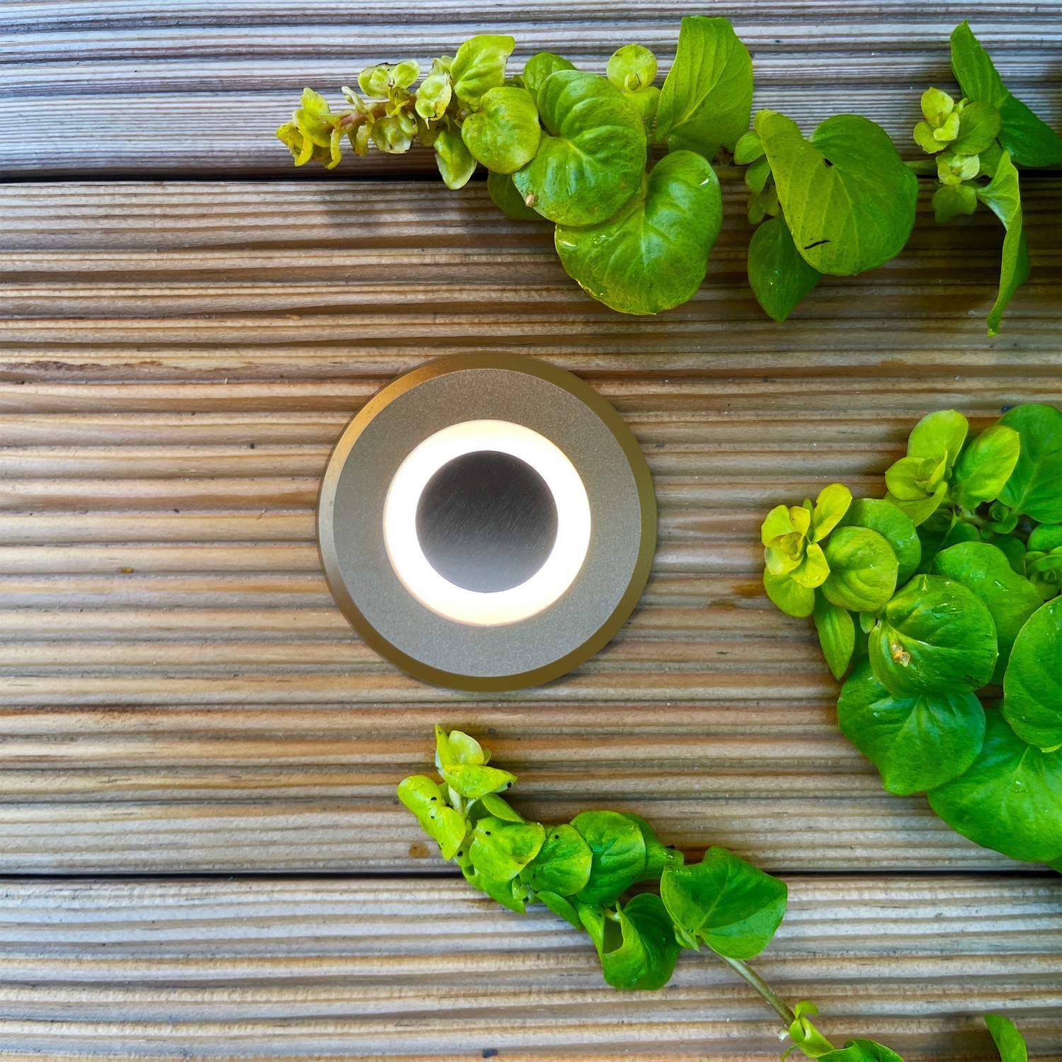 Alternativ bild 0 för Lynx Decklight Bronze