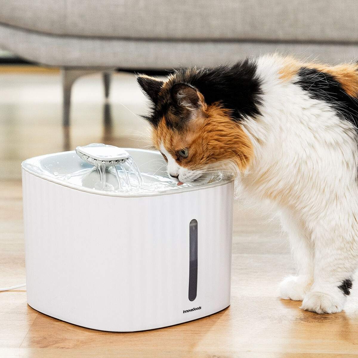 Drikkevandsfontæne til Kæledyr Frisk Vand til Katte og Hunde