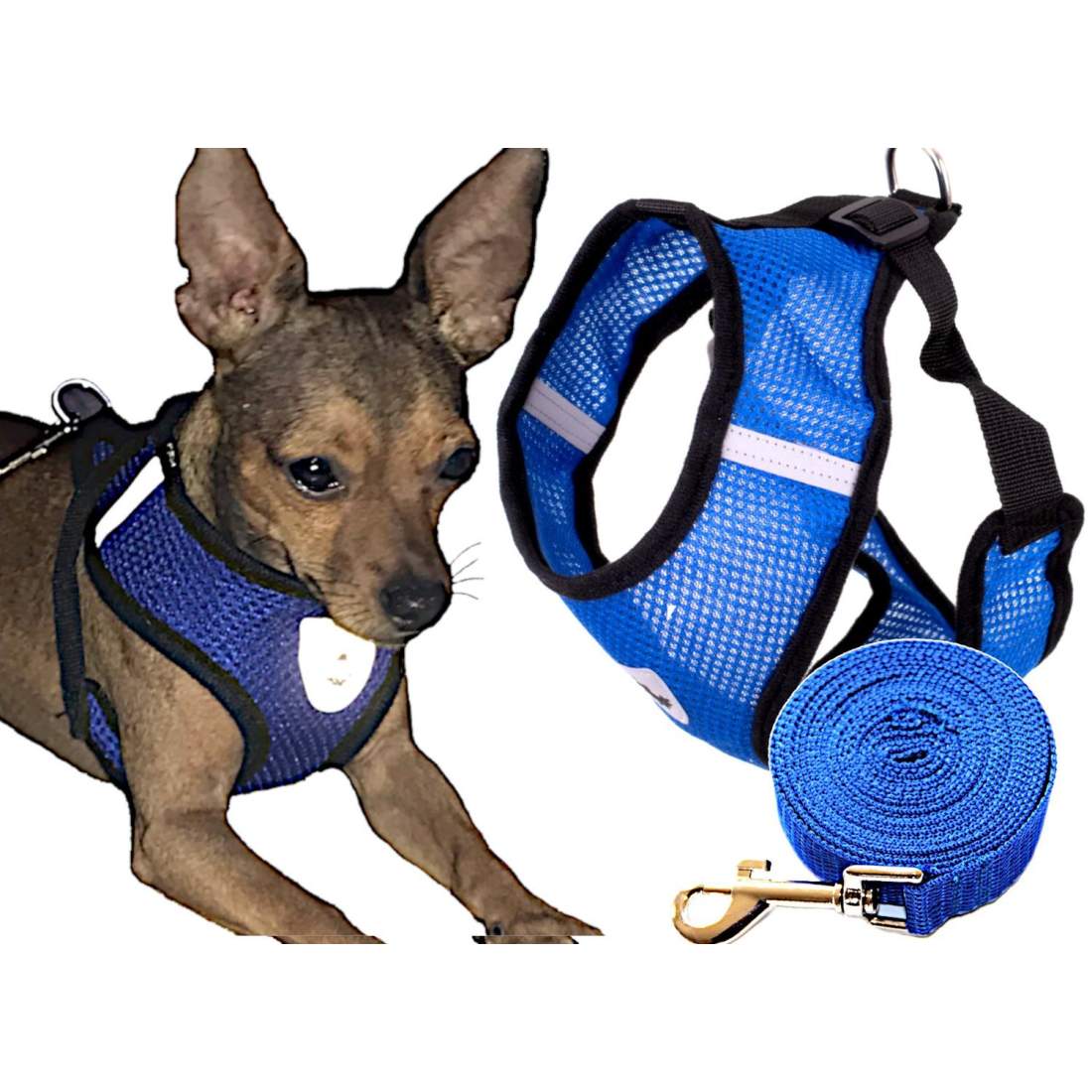 Justerbart Halsband med Bälte och Snodd 37cm/53-69cm/120cm | Elektronik - Tillbehör Mobil & Surfplatta - Mobiltillbehör - Mobilkablar - Tillbehör | Pryloteket