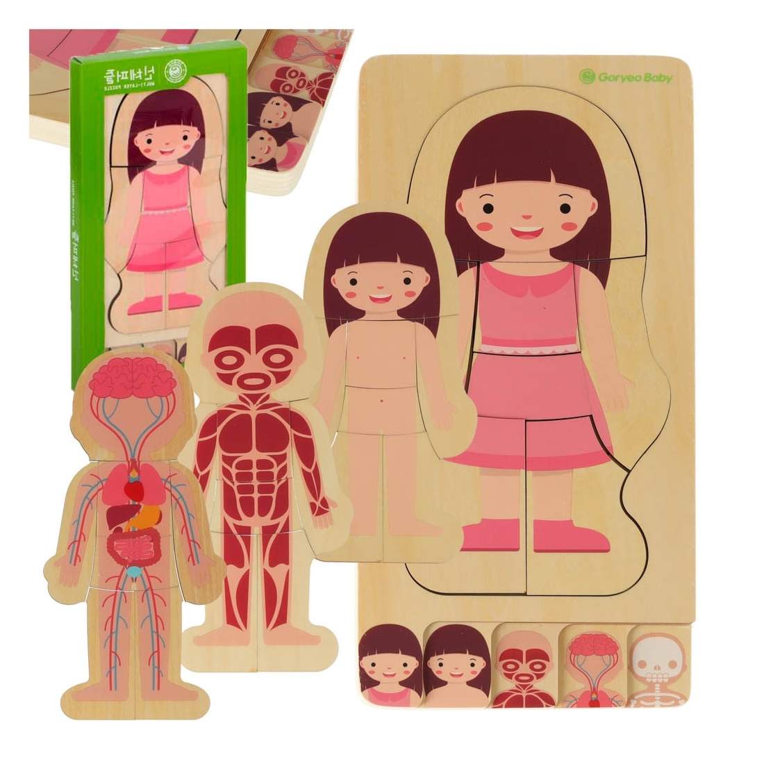 Pedagogiskt Anatomi Pussel för Barn - Motorikträning | Leksaker & Spel - Leksaker - Pussel | Pryloteket