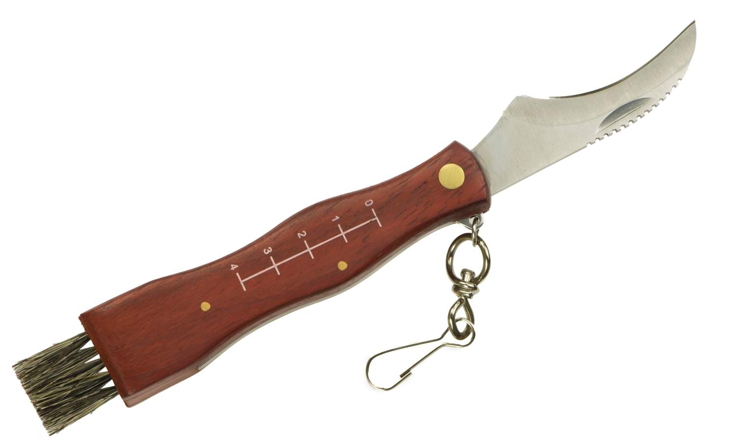 Fällbar svampkniv med borste i rostfritt stål | Hem & Hobby - Hem & Hushåll - Kök - Köksredskap - Lock | Pryloteket