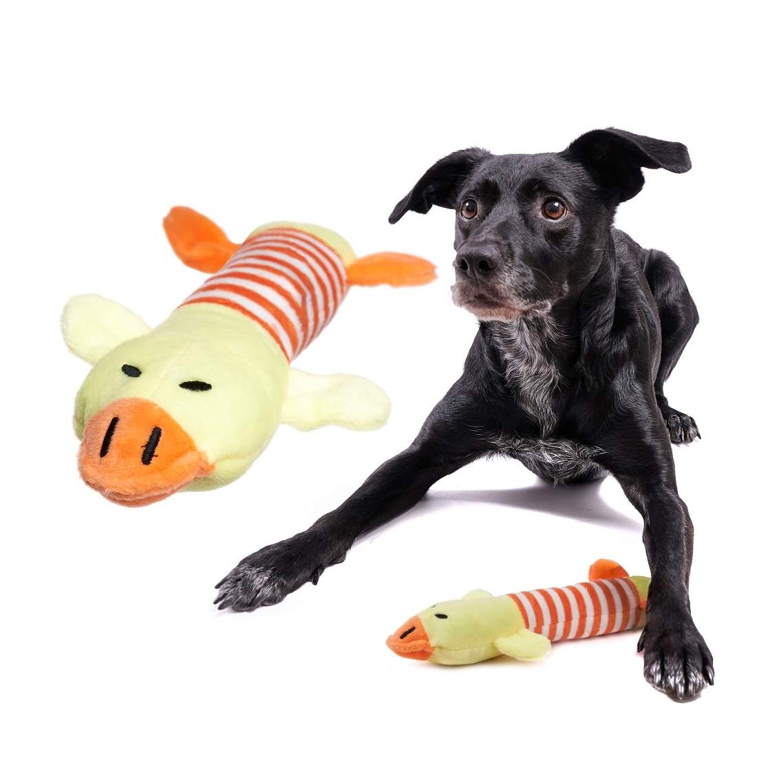 Interaktiv Hundleksak med Squeaker för Hämta Lek | Elektronik - Kablar & Adaptrar - Adaptrar & Signalomvandlare - USB | Pryloteket