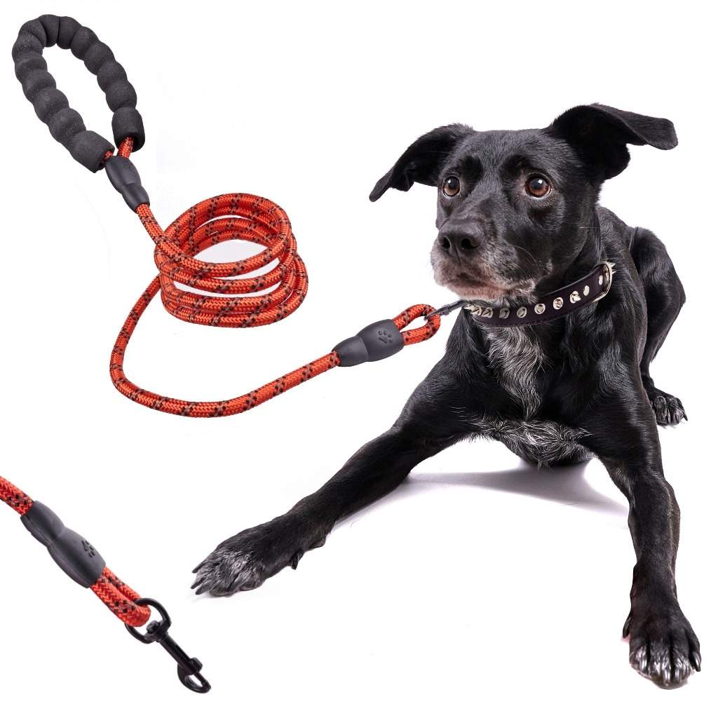 Reflekterende rød hundesnor med skumhåndtag 2m