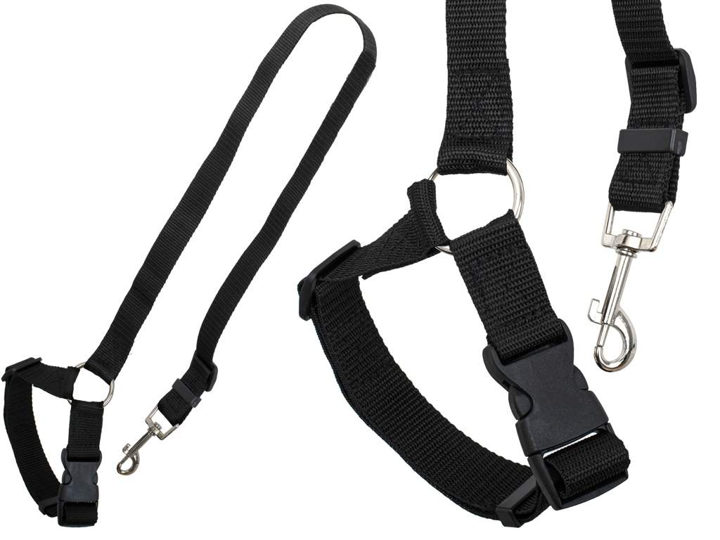 Sikkerhedssnor til bilture med kæledyr