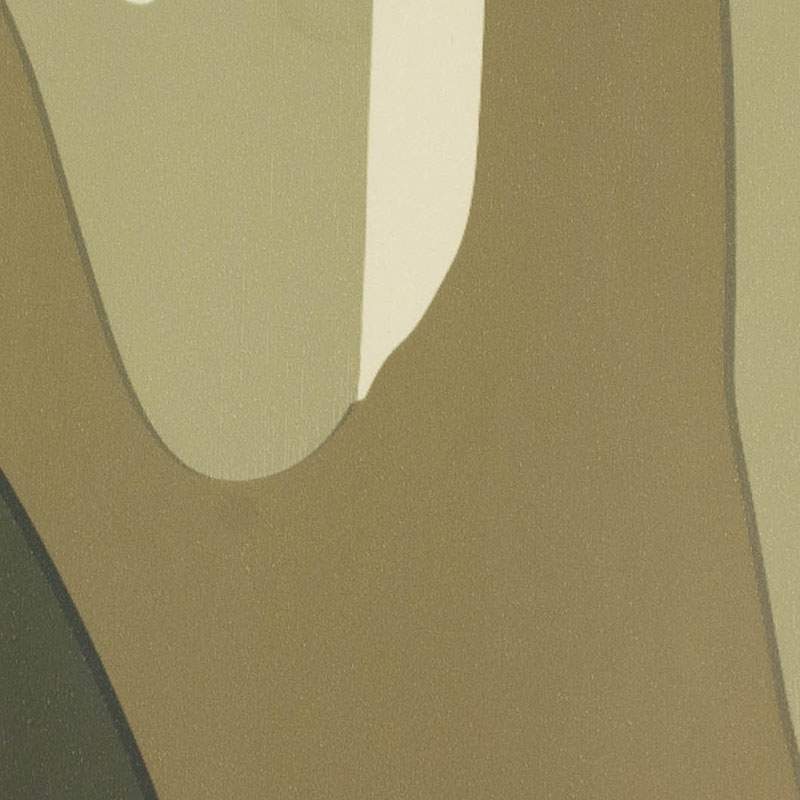 Camouflagefolie Ørken 1,52x30m Udendørs