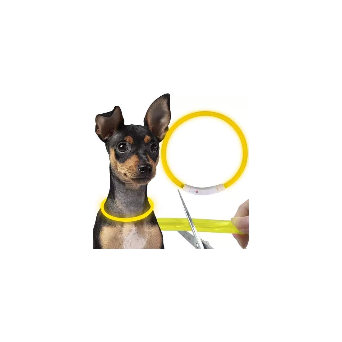 Justerbart LED-hundhalsband med USB-laddning | Hem & Hobby | Pryloteket