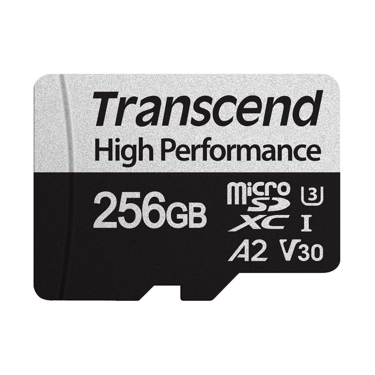 microSDXC 256 GB U3 (R100/W85)