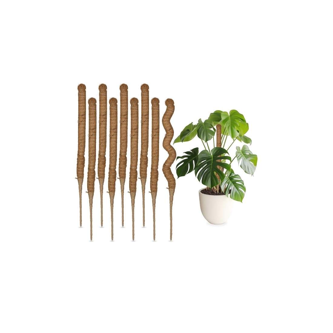 Kokospinnar 60 cm | Hem & Hobby - Husdjur - Katt | Pryloteket