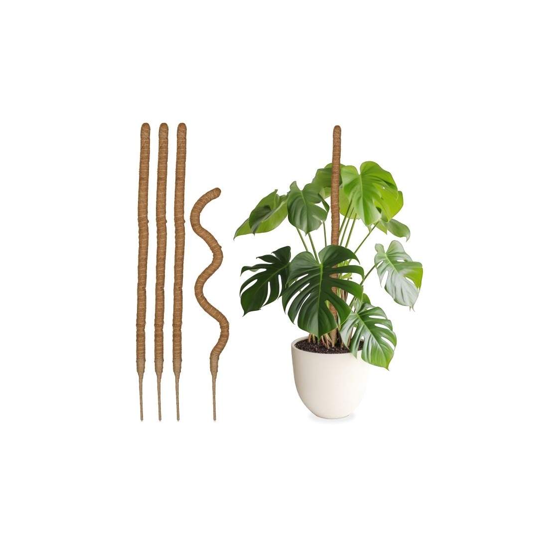 set med 5 kokospinnar 90 cm | Hem & Hobby - Husdjur - Katt | Pryloteket