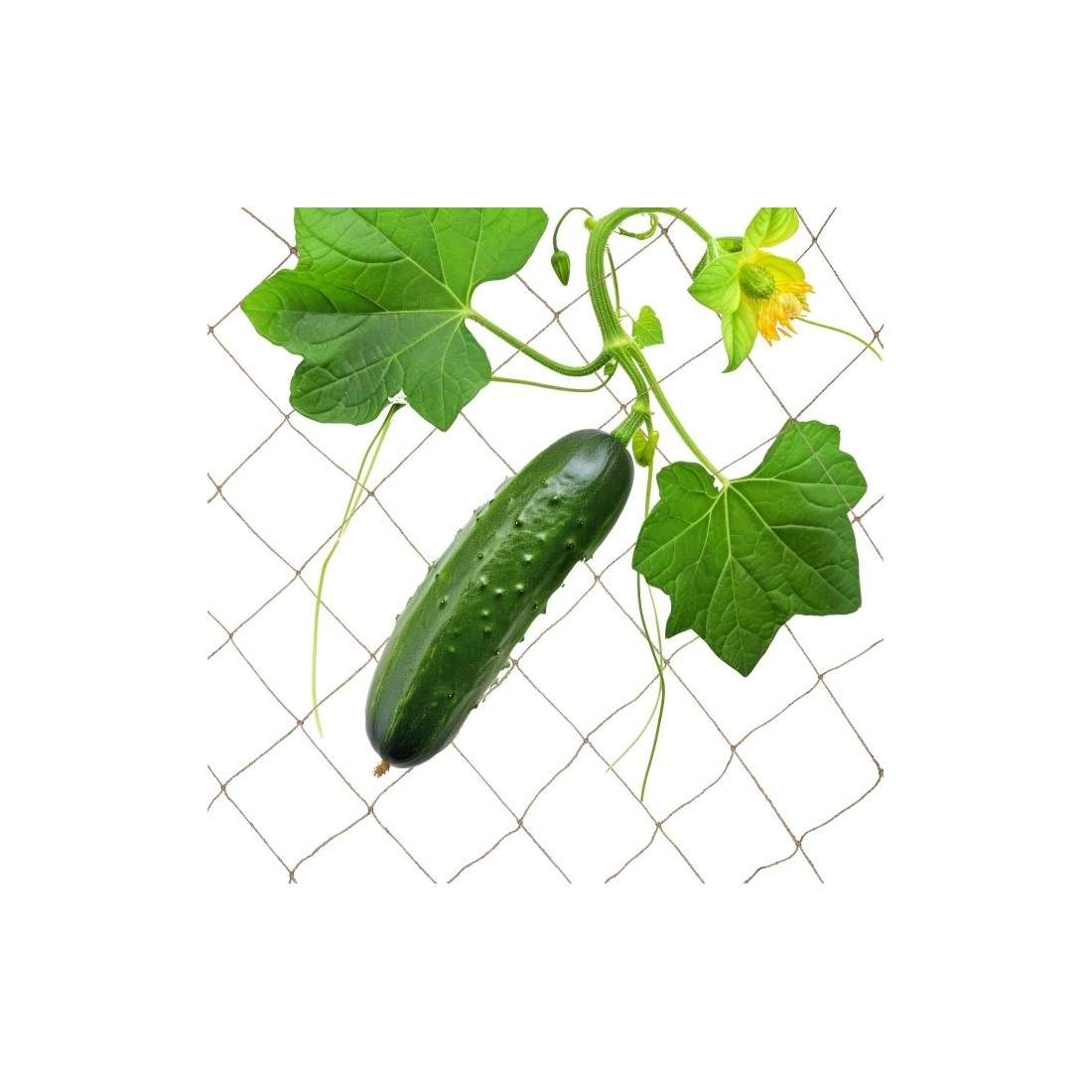 Spaljénät jute | Hem & Hobby - Hem & Hushåll - Trädgårdsartiklar - Växthus | Pryloteket