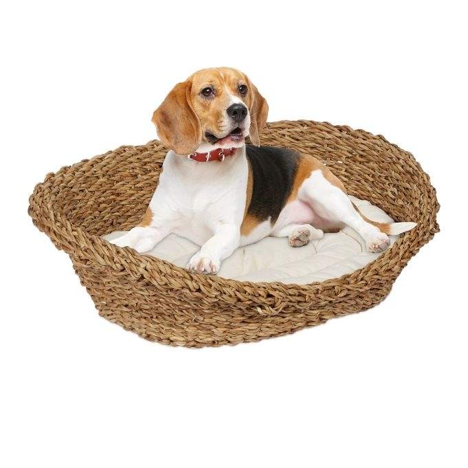 Seng til hunde og katte
