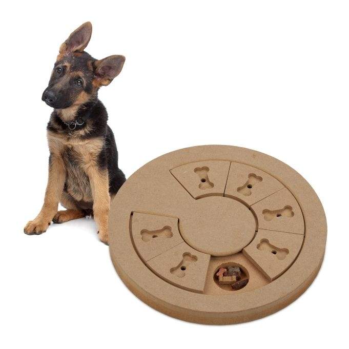 Intelligent legetøj til hunde