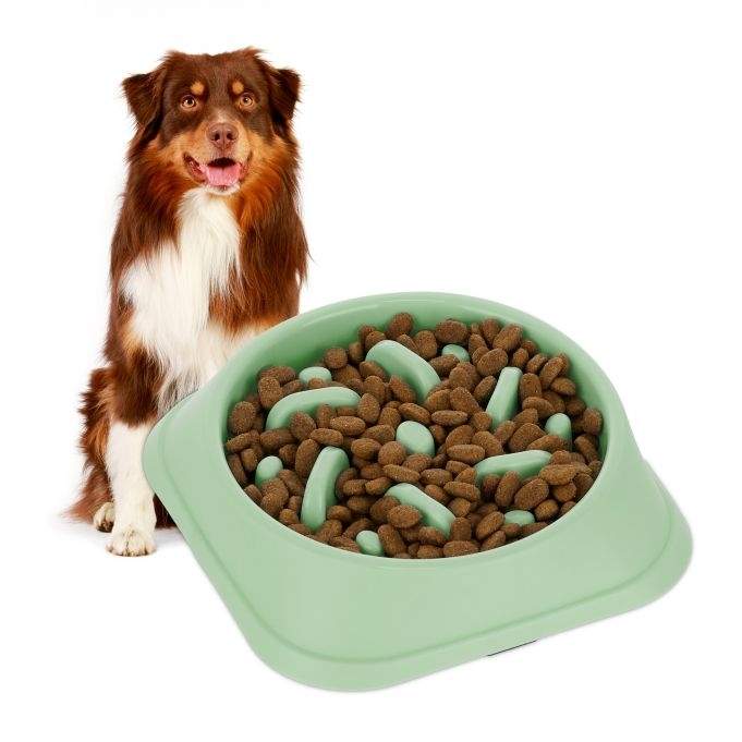 Anti-sling skål 500 ml | Hem & Hobby - Husdjur - Hund | Pryloteket