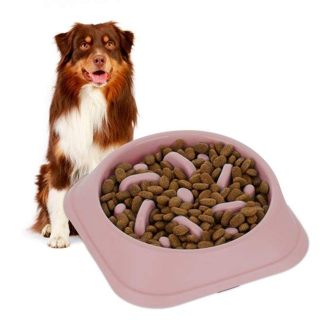 Anti-sling skål 500 ml | Hem & Hobby - Husdjur - Hund | Pryloteket