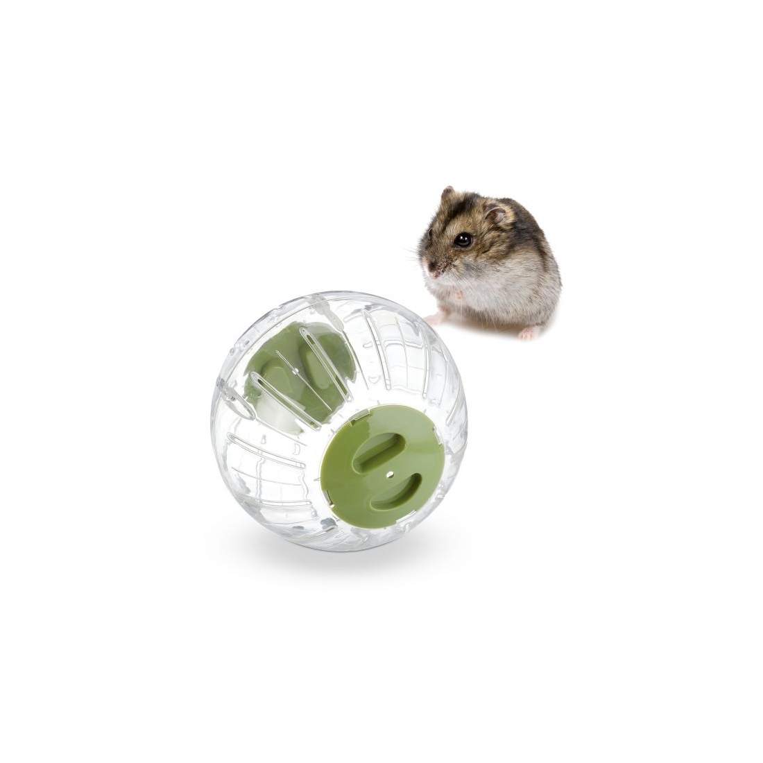 Hamsterboll med grönt lock | Hem & Hobby - Husdjur | Pryloteket