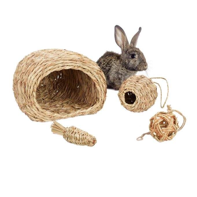 Tillbehörsset för små djur 4 delar | Elektronik - Tillbehör Mobil & Surfplatta - Mobiltillbehör - Mobilkablar - Tillbehör | Pryloteket