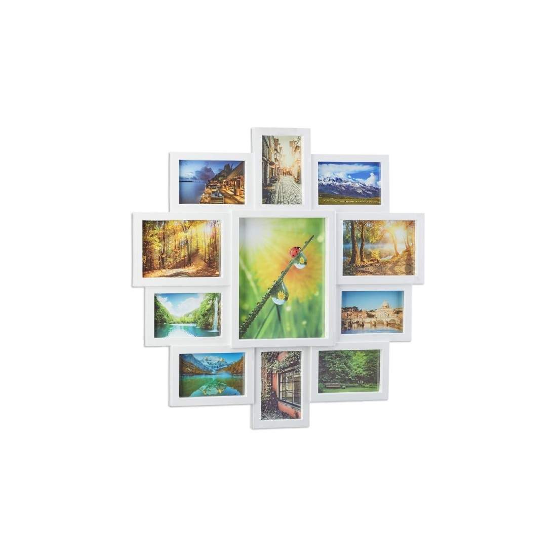 Collage ram 11 bilder | Hem & Hobby - Husdjur - Katt | Pryloteket