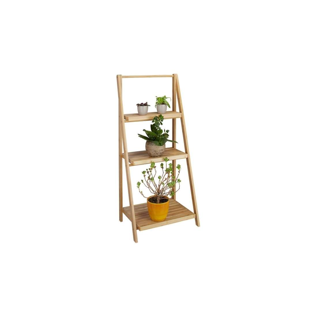 Plantera bambu inomhus | Hem & Hobby - Hem & Hushåll - Balkong | Pryloteket