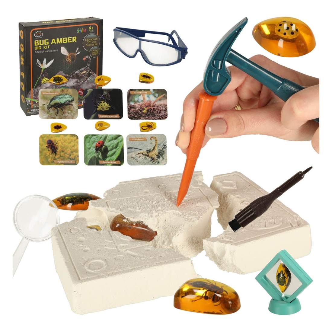 Arkeologisk utgrävning satte insekter i bärnsten | Hem & Hobby | Pryloteket