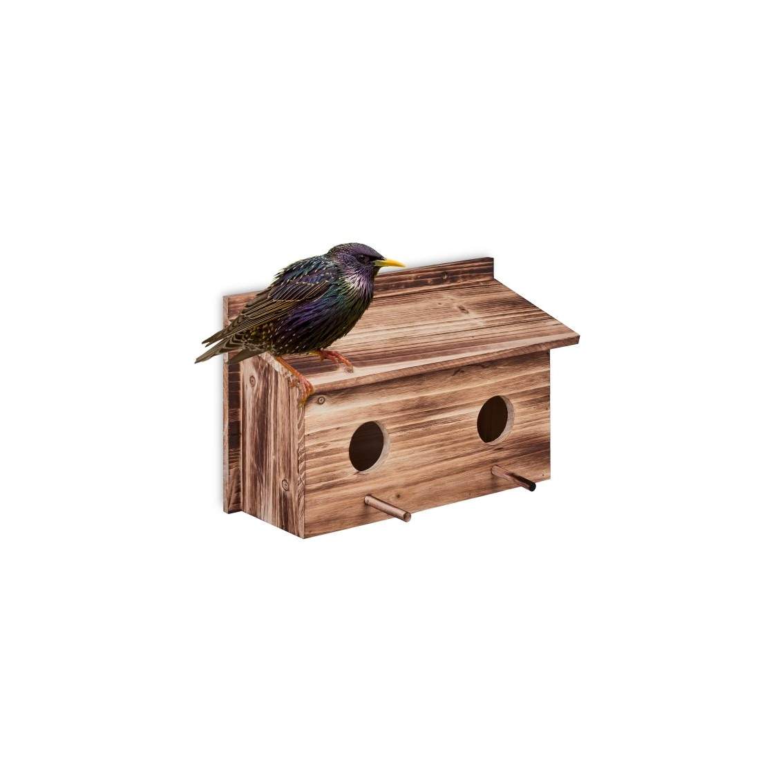 Bo för starar | Hem & Hobby | Pryloteket