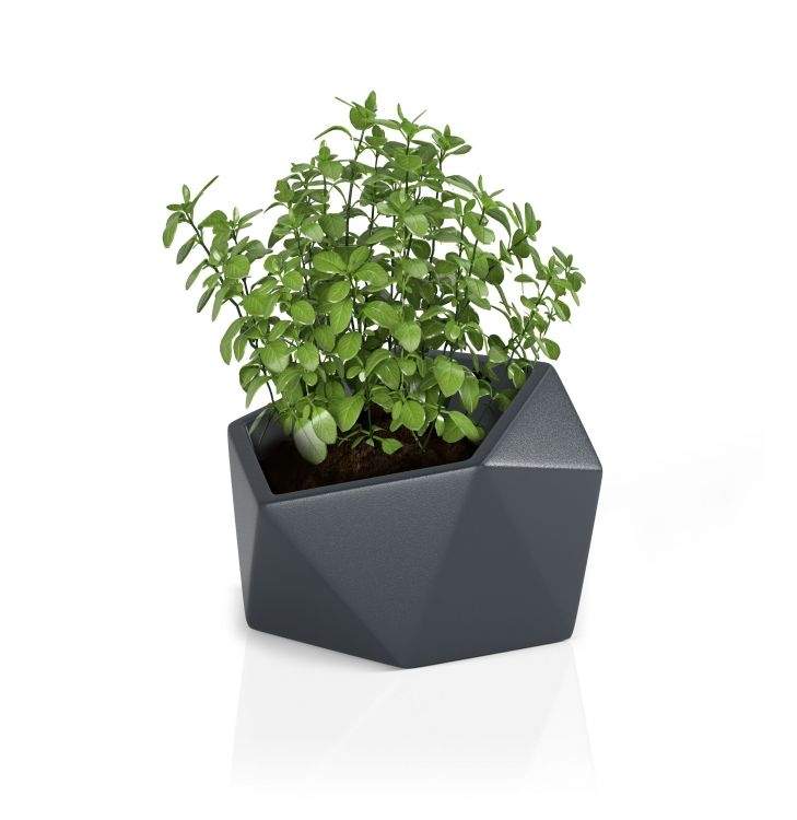 Designergryde VESARI Antracit