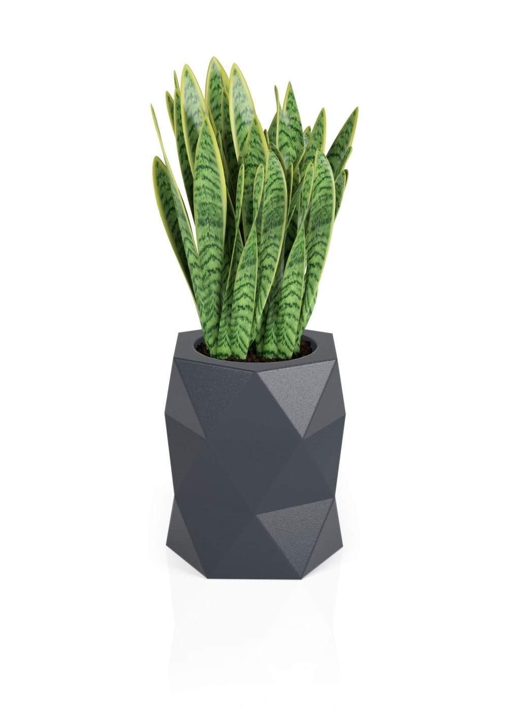 Designergryde MODENA Antracit