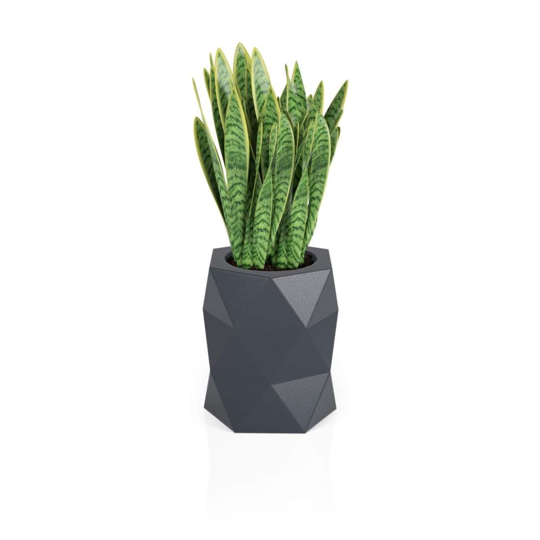 Designerkruka MODENA Antracit | Hem & Hobby - Hem & Hushåll - Balkong | Pryloteket