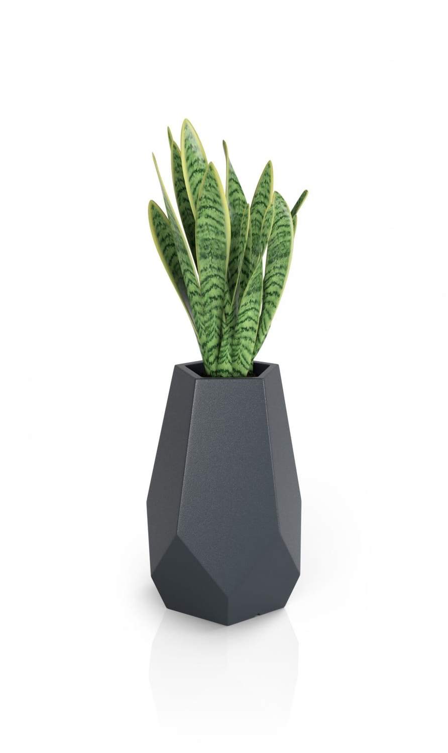 Designergryde BARI Antracit