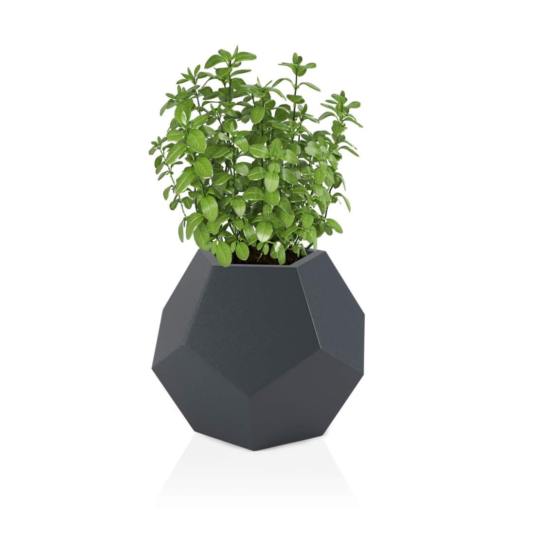 Designerkruka ALMA Antracit | Hem & Hobby - Hem & Hushåll - Balkong | Pryloteket