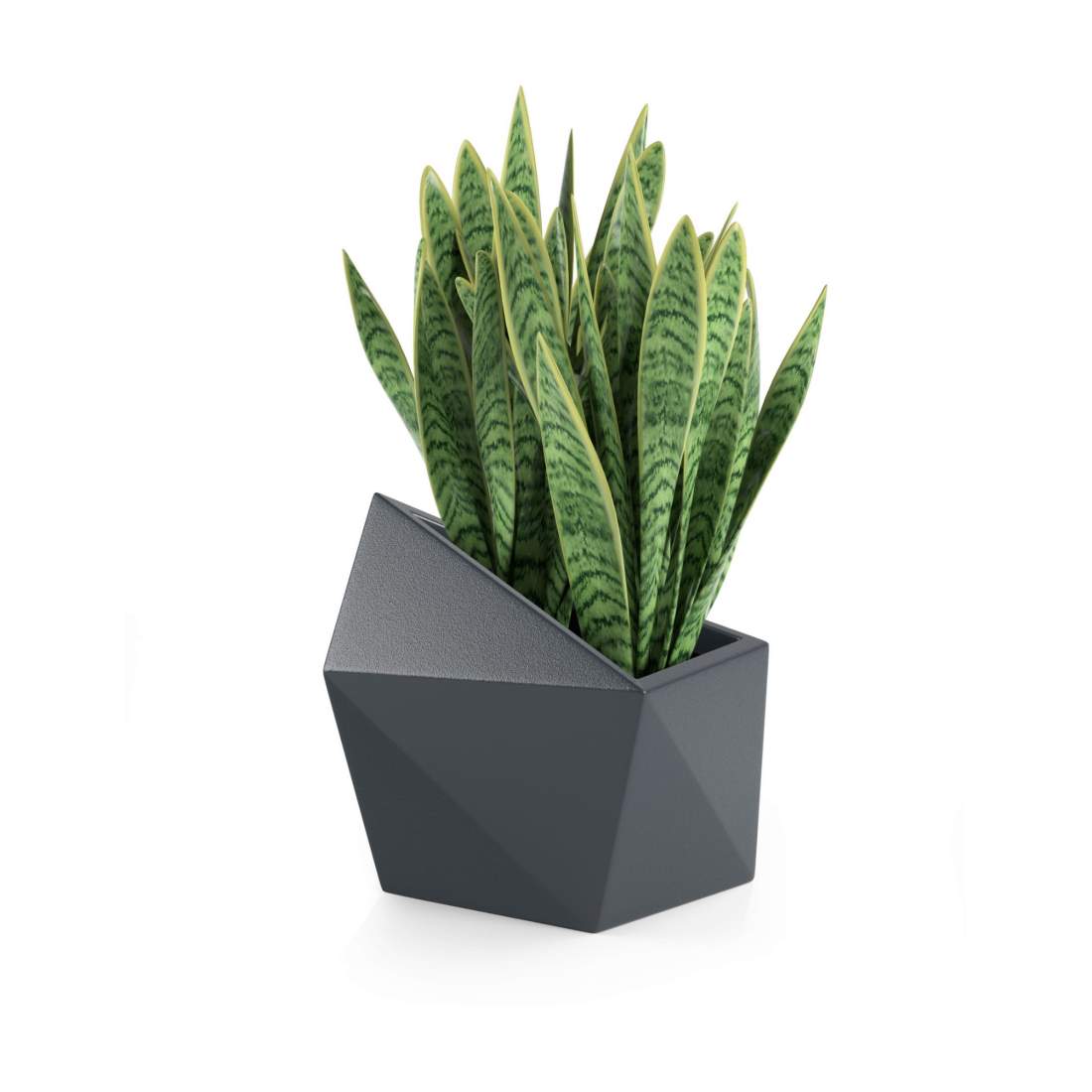 Designerkruka ASTRO 47cm höjd, antracit | Hem & Hobby - Hem & Hushåll - Balkong | Pryloteket