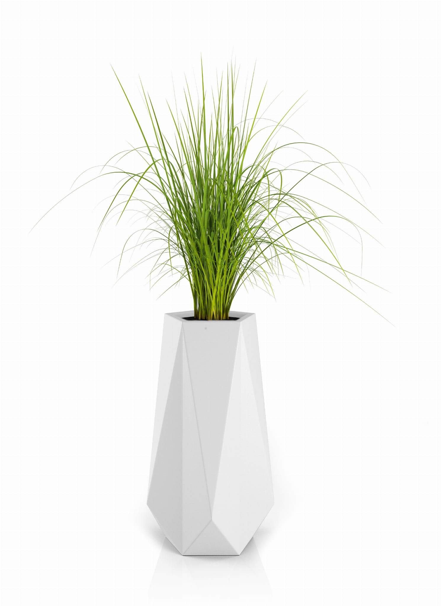 Designergryde SIENA Hvid