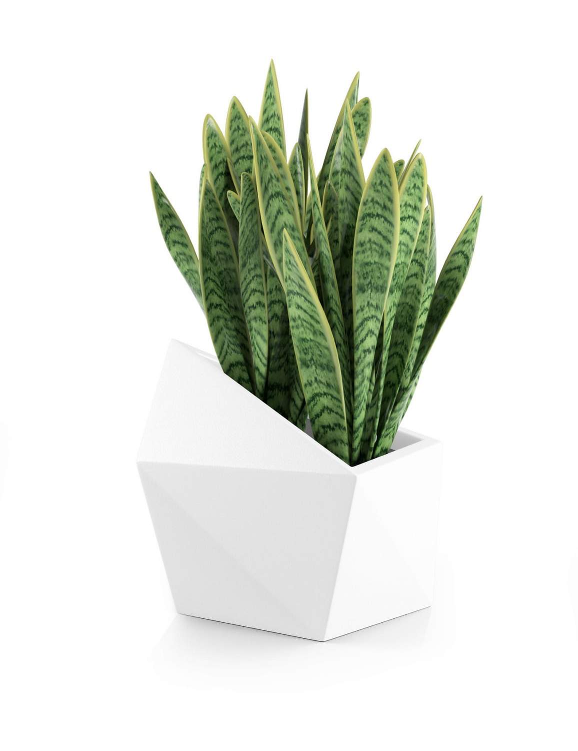 Designergryde ASTRO Hvid