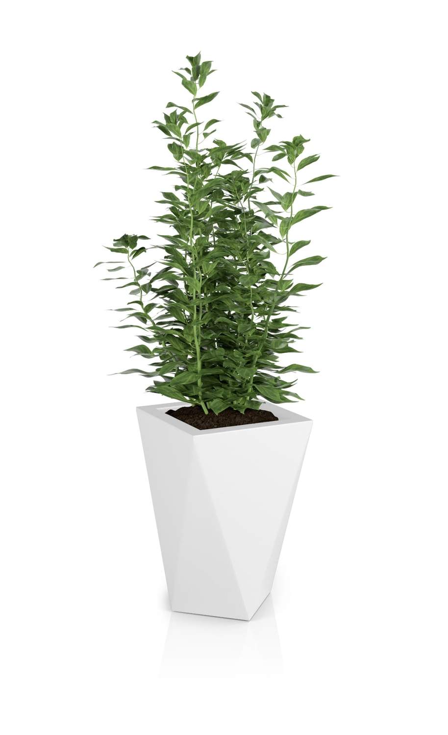 Designergryde VASO Hvid