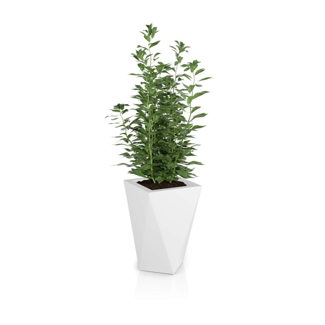 Designerkruka VASO Vit | Hem & Hobby - Hem & Hushåll - Balkong | Pryloteket