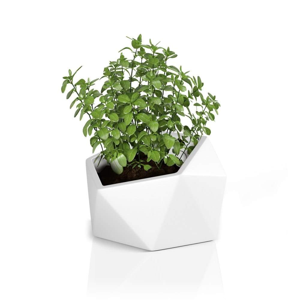 Designergryde VESARI Hvid