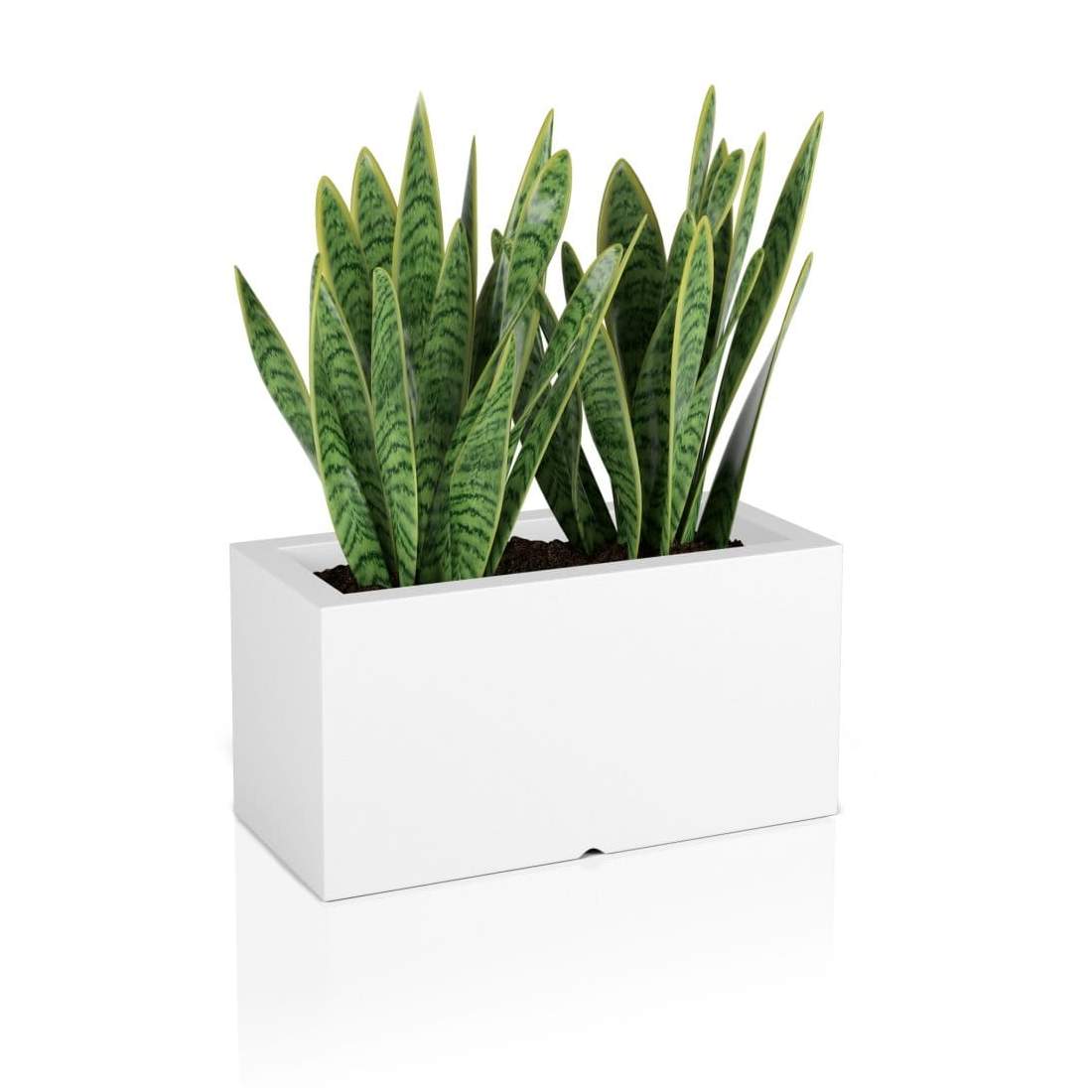 Designerkruka LUNGO Vit | Hem & Hobby - Hem & Hushåll - Balkong | Pryloteket