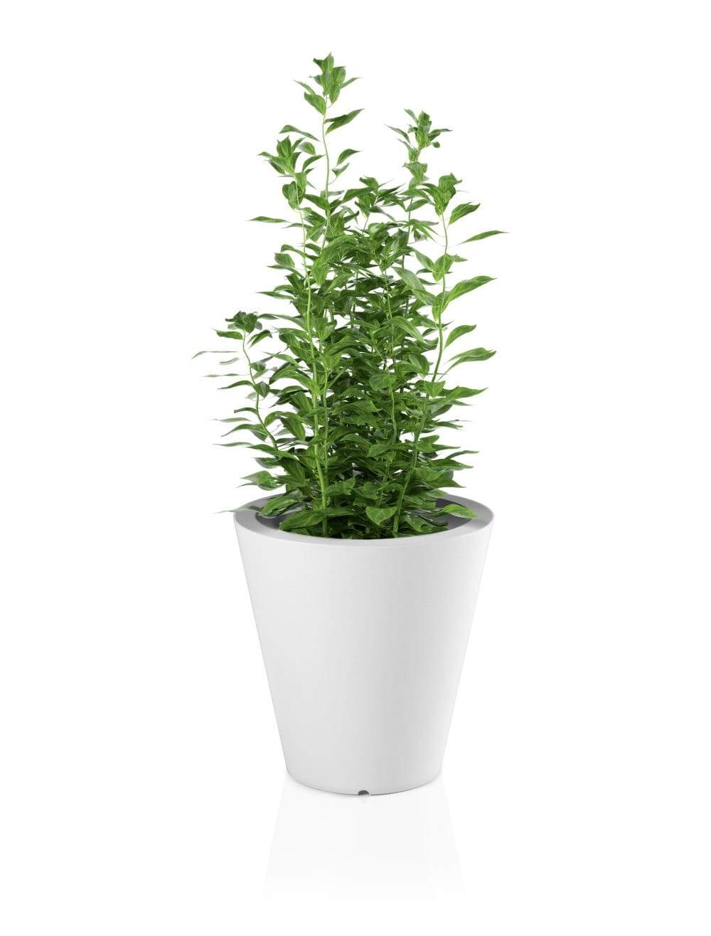 Designergryde OVO Hvid