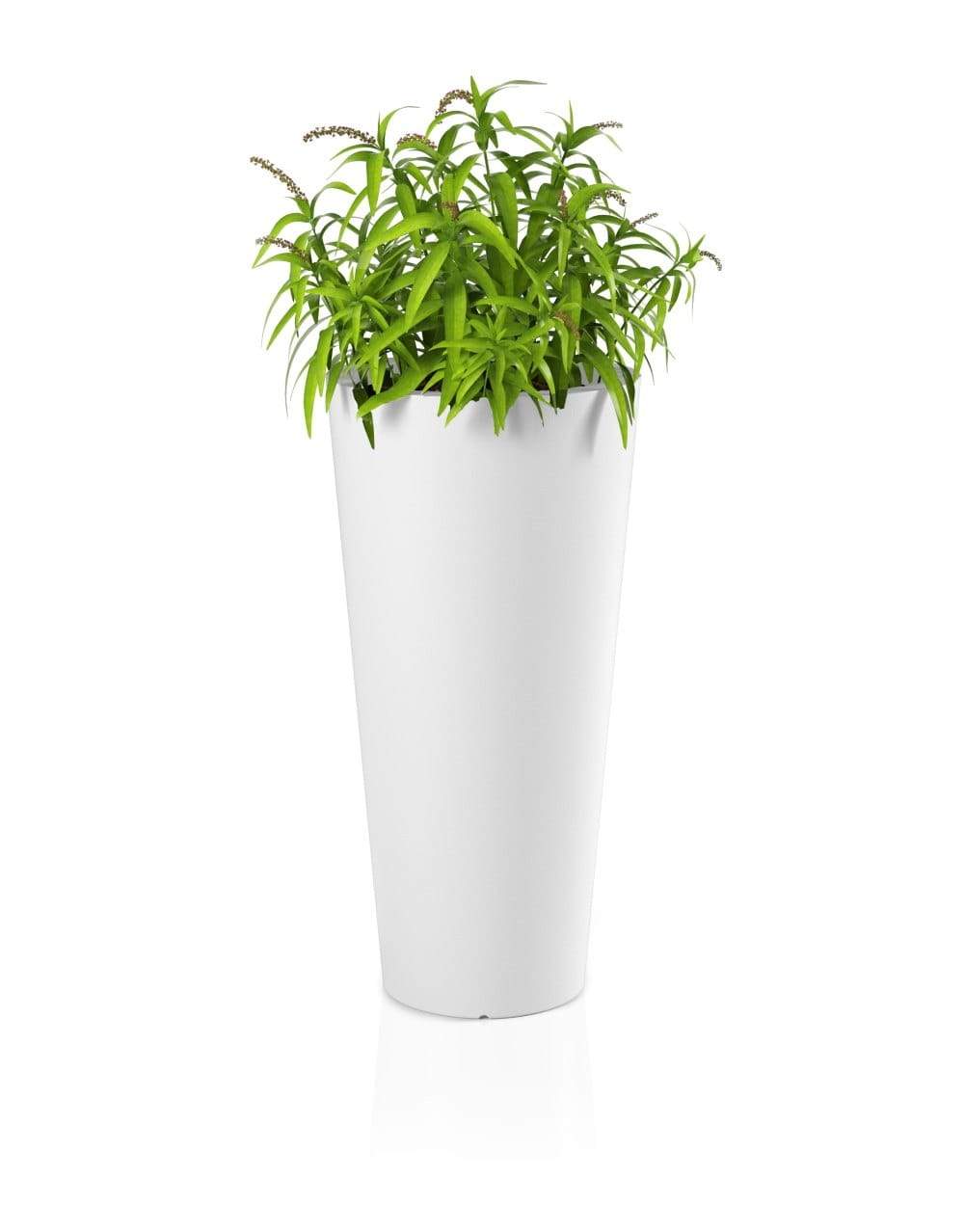 Designergryde HABANA Hvid