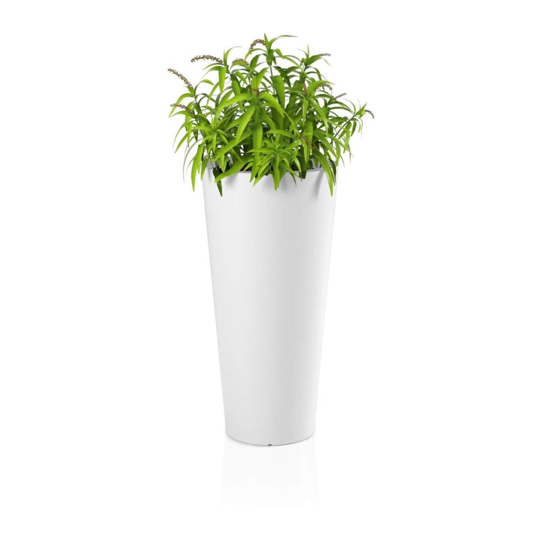 Designerkruka HABANA Vit | Hem & Hobby - Hem & Hushåll - Balkong | Pryloteket