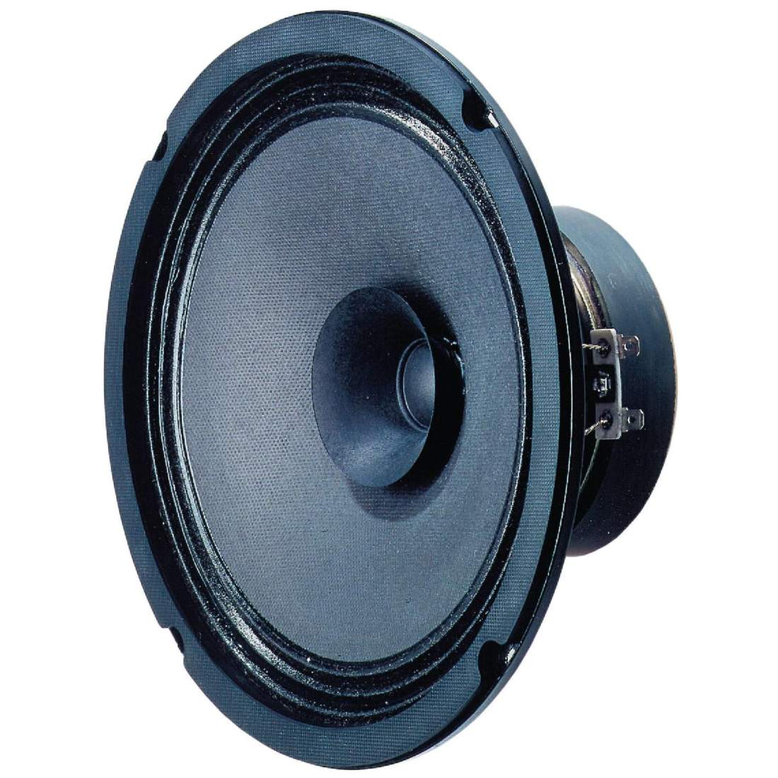 BG 20 - 8 Ohm 20 cm (8") fullregisterhögtalare