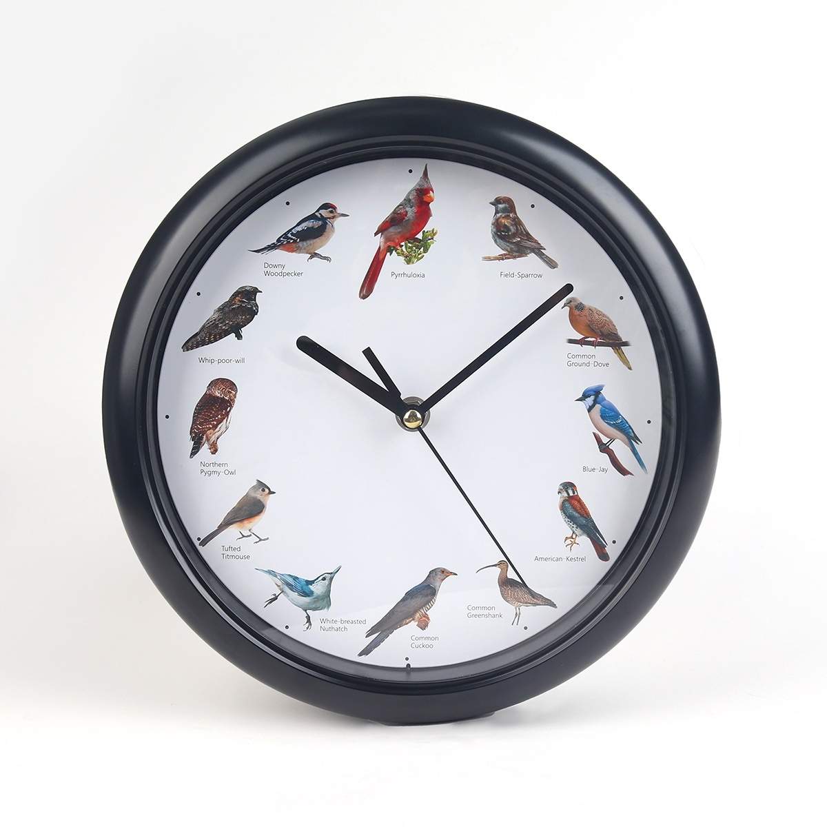 Linnunlaulukello äänellä