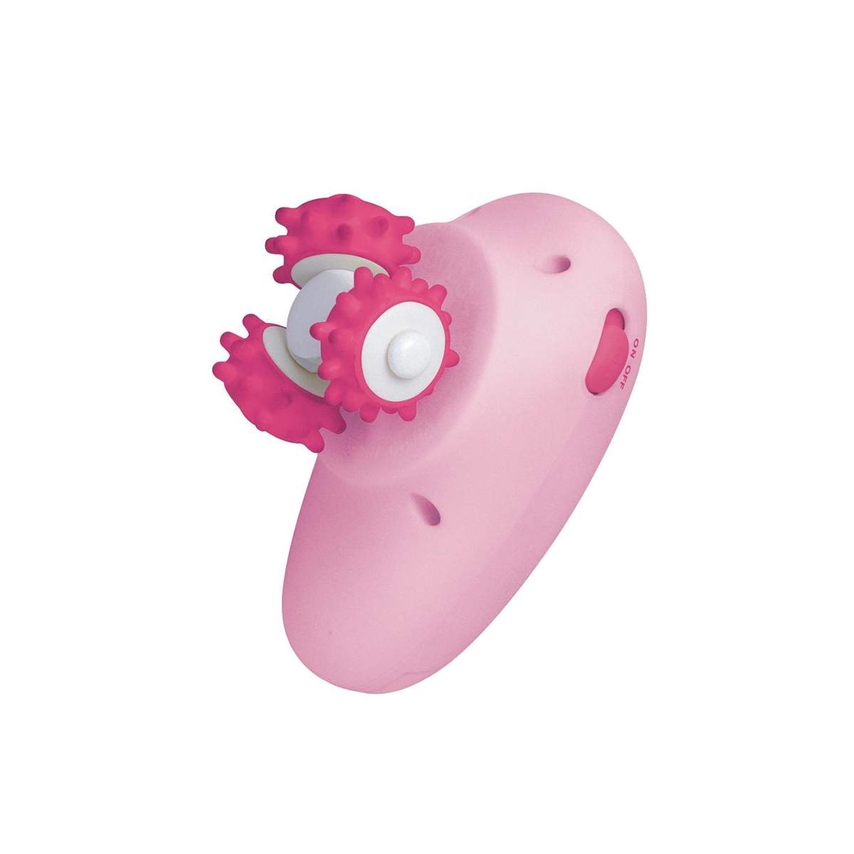 Bodi Pro hierontarulla