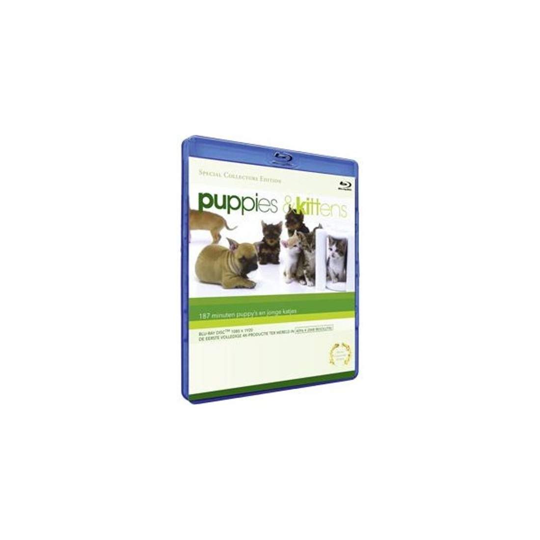 Blu-Ray valpar och kattungar | Hem & Hobby - Husdjur - Katt | Pryloteket