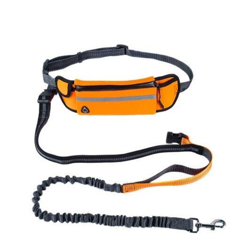 dog leash pouch